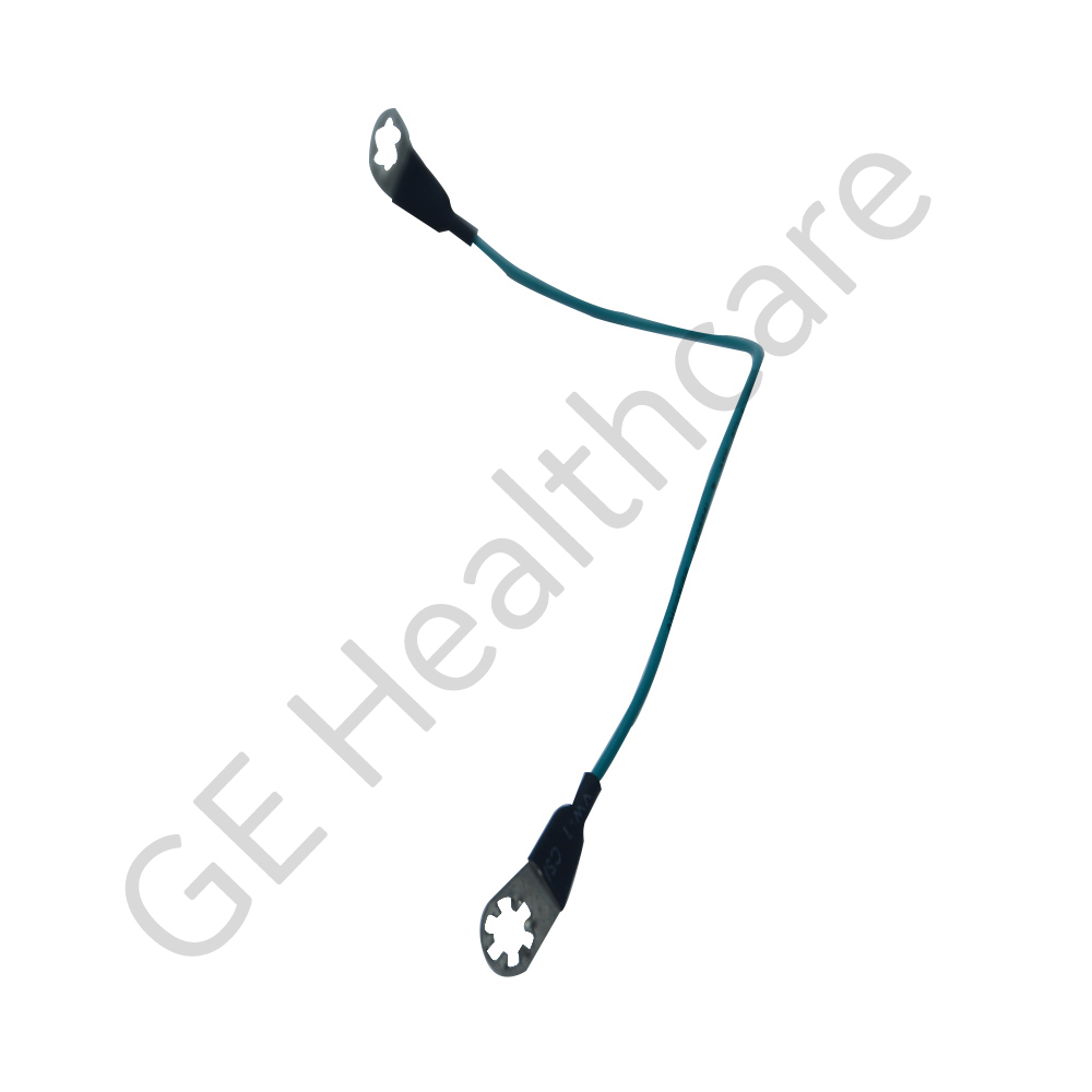 Kit Corometrics 250 Ground Strap Assembly Kit Corometrics 250 Ground Strap Assembly