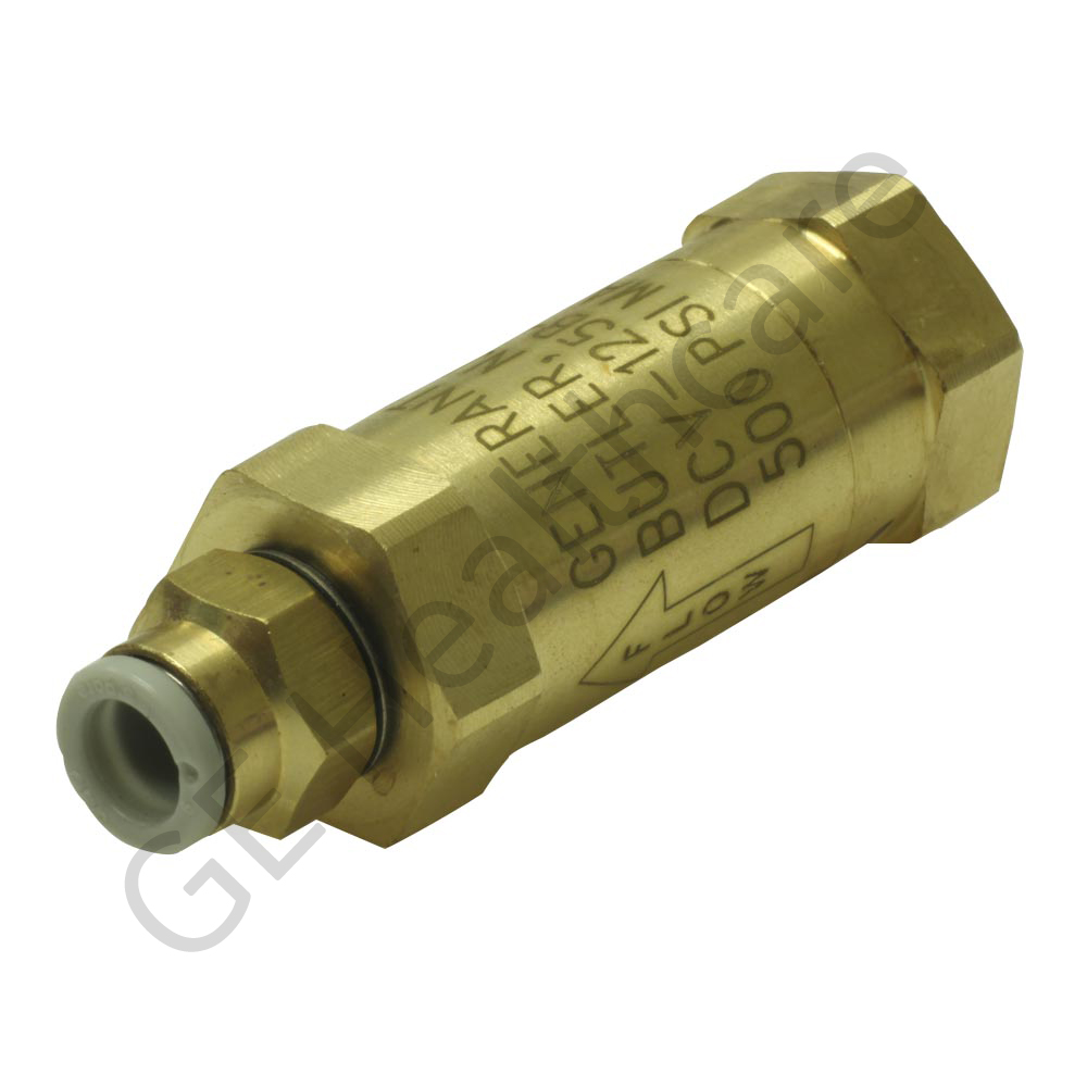 Check Valve with Filter and Straight Push Connect Fitting Check Valve with Filter and Straight Push Connect Fitting