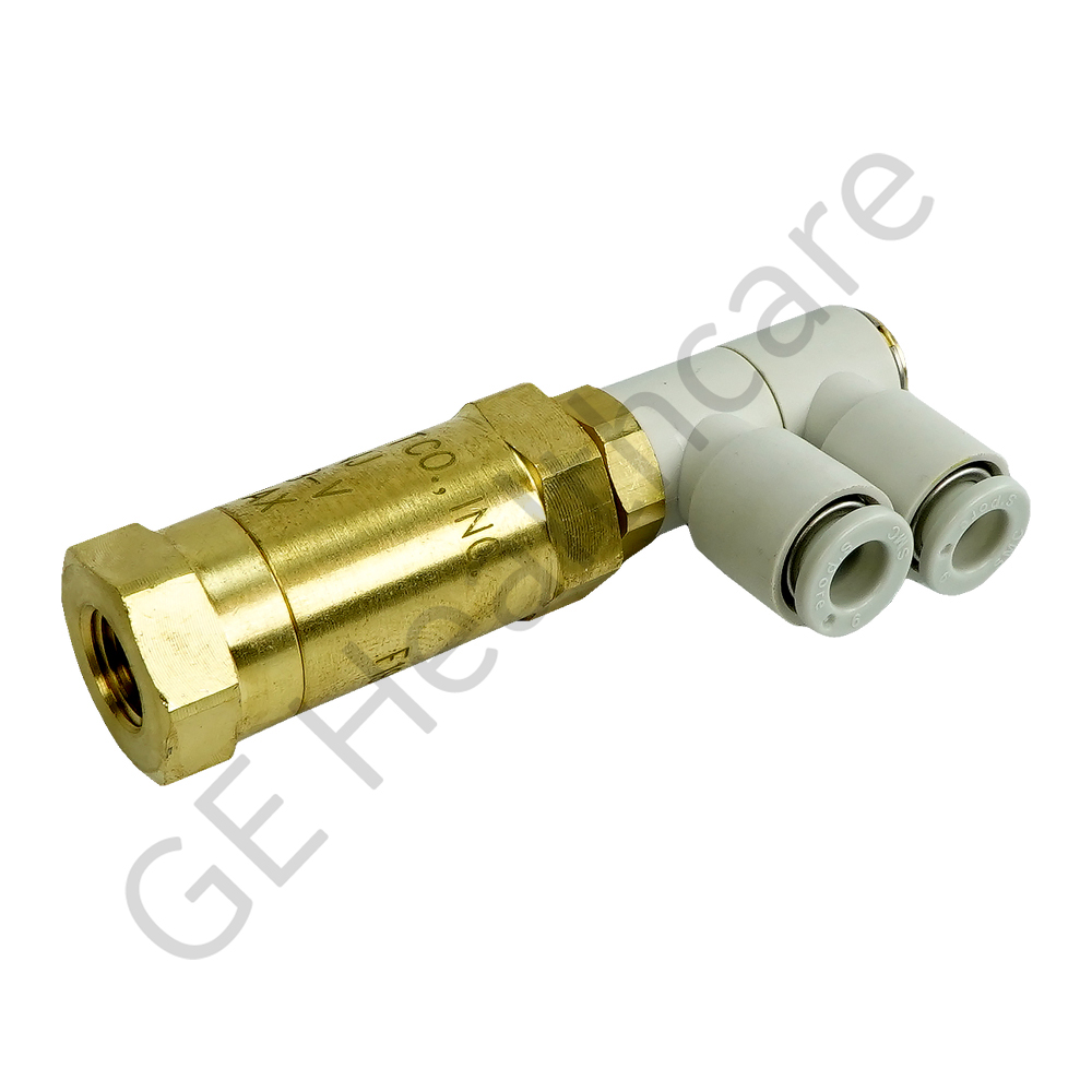 Check Valve with Filter and Elbow Push Connect Fittings Check Valve with Filter and Elbow Push Connect Fittings