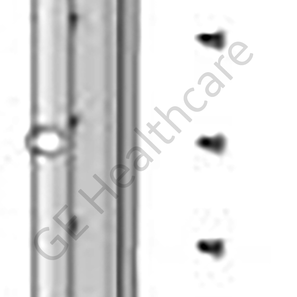 FRU REAR ACCESSORY TRACK MAC VU360 FRU REAR ACCESSORY TRACK MAC VU360