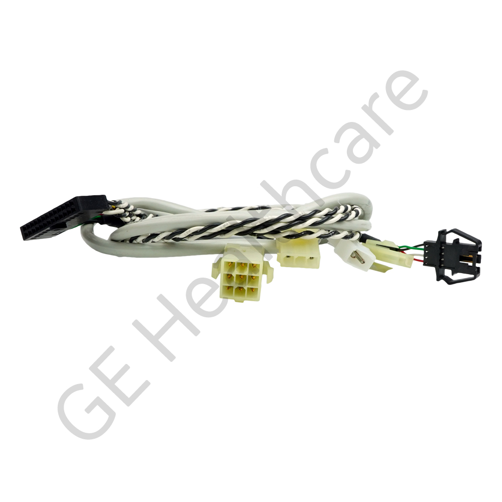 MAIN XT HARNESS (DETENT REDESIGN) MAIN XT HARNESS (DETENT REDESIGN)